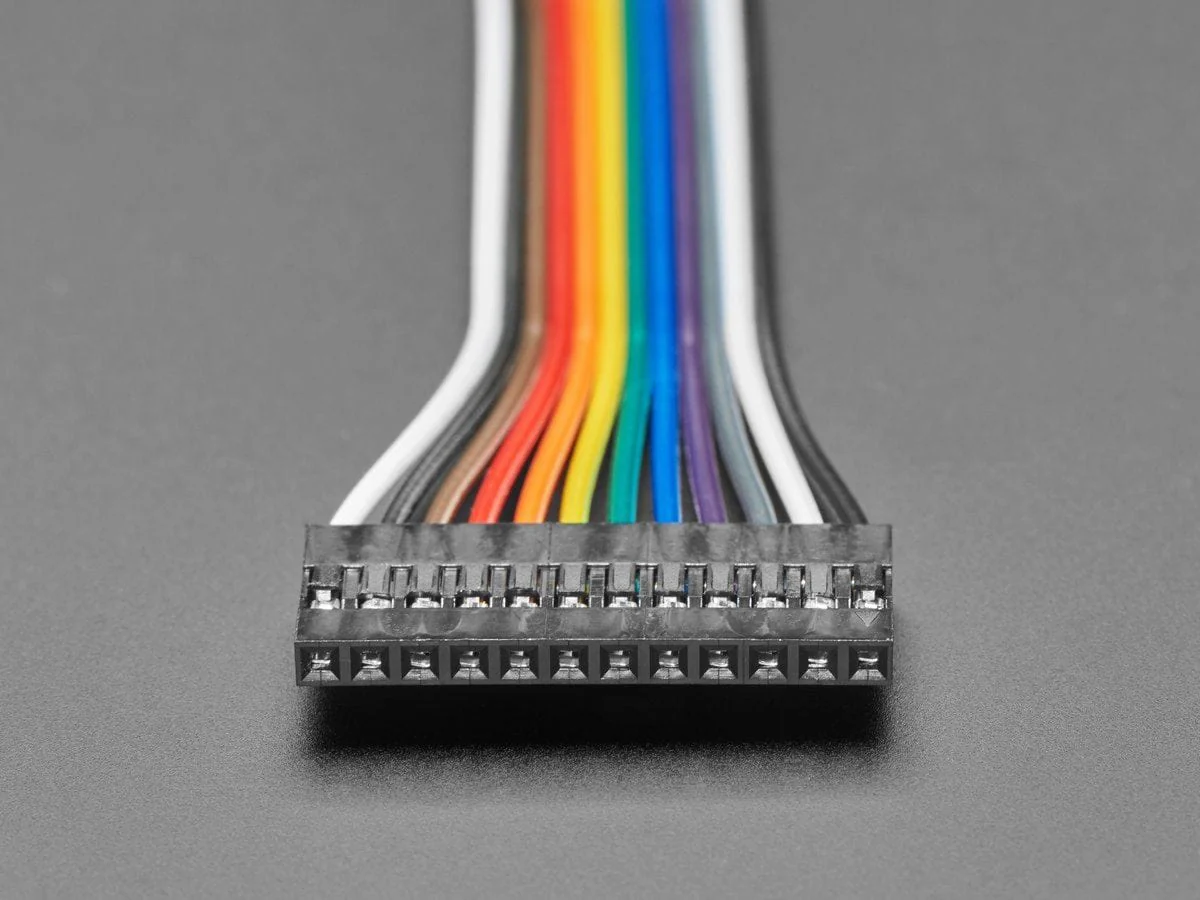 2.54mm 0.1" Pitch 12-pin Jumper Cable - 20cm long - Image 2