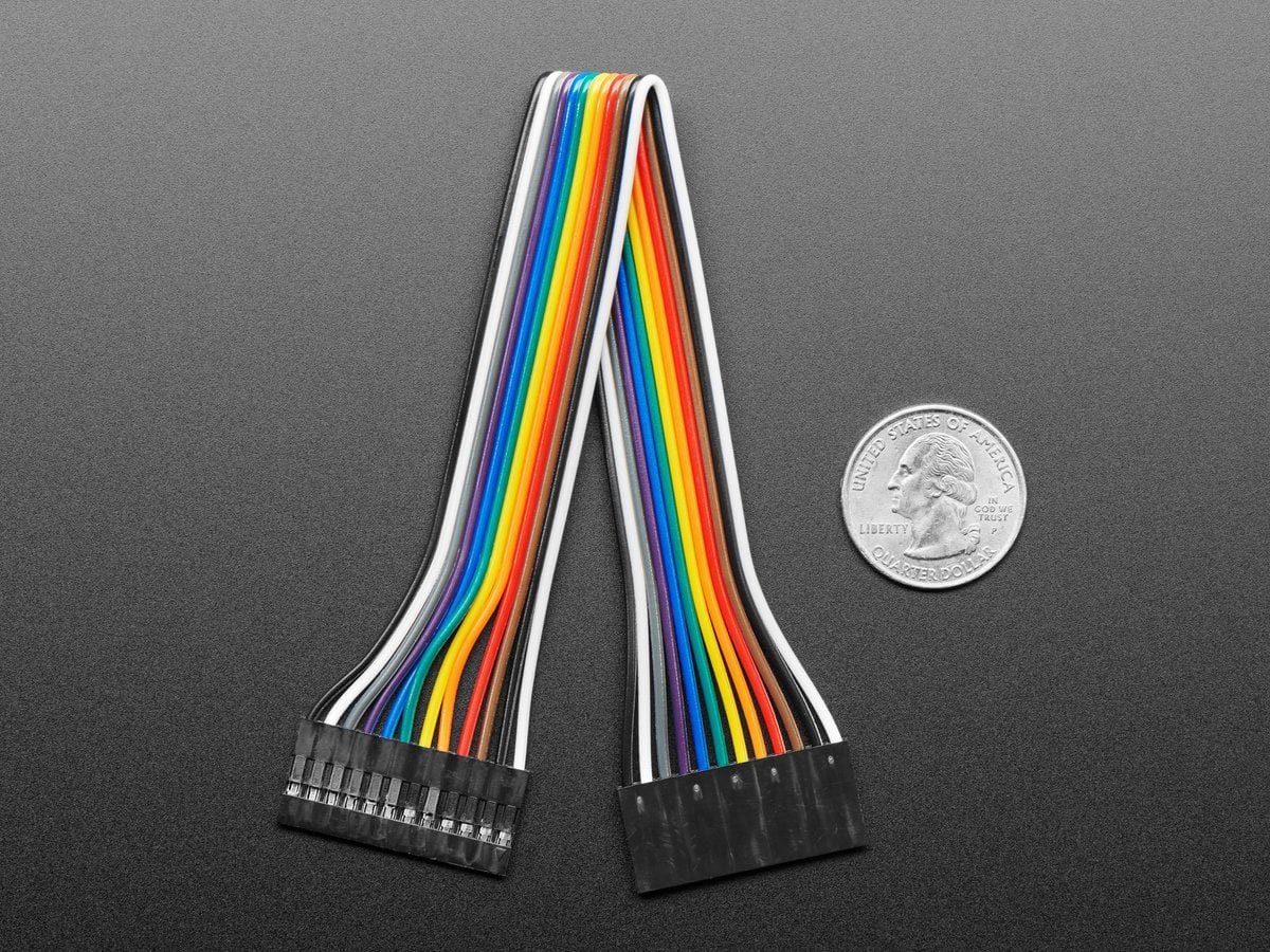 2.54mm 0.1" Pitch 12-pin Jumper Cable - 20cm long - Image 3