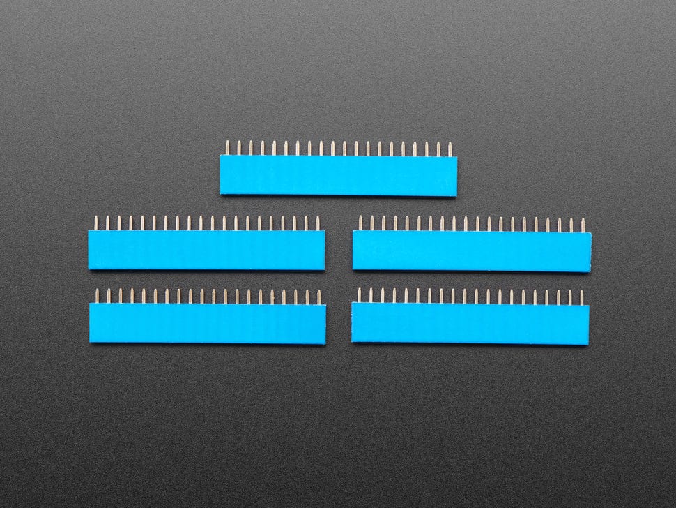 20-pin 0.1" Female Header - Blue - 5 pack - Image 3