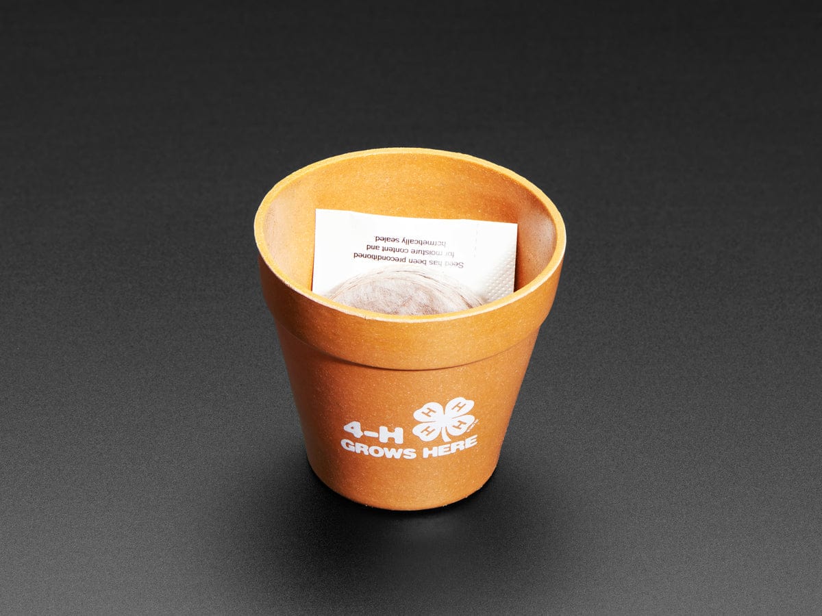 4-H Grow Your Own Clovers Kit [Discontinued] - Image 2