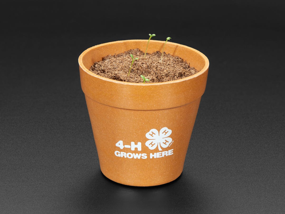 4-H Grow Your Own Clovers Kit [Discontinued] - Image 4