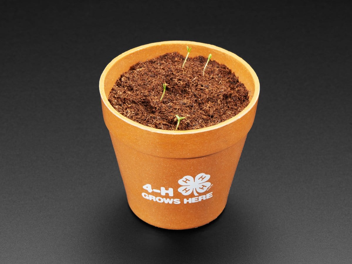4-H Grow Your Own Clovers Kit with Circuit Playground Express (Soil Sensor Mini Kit) - Image 4