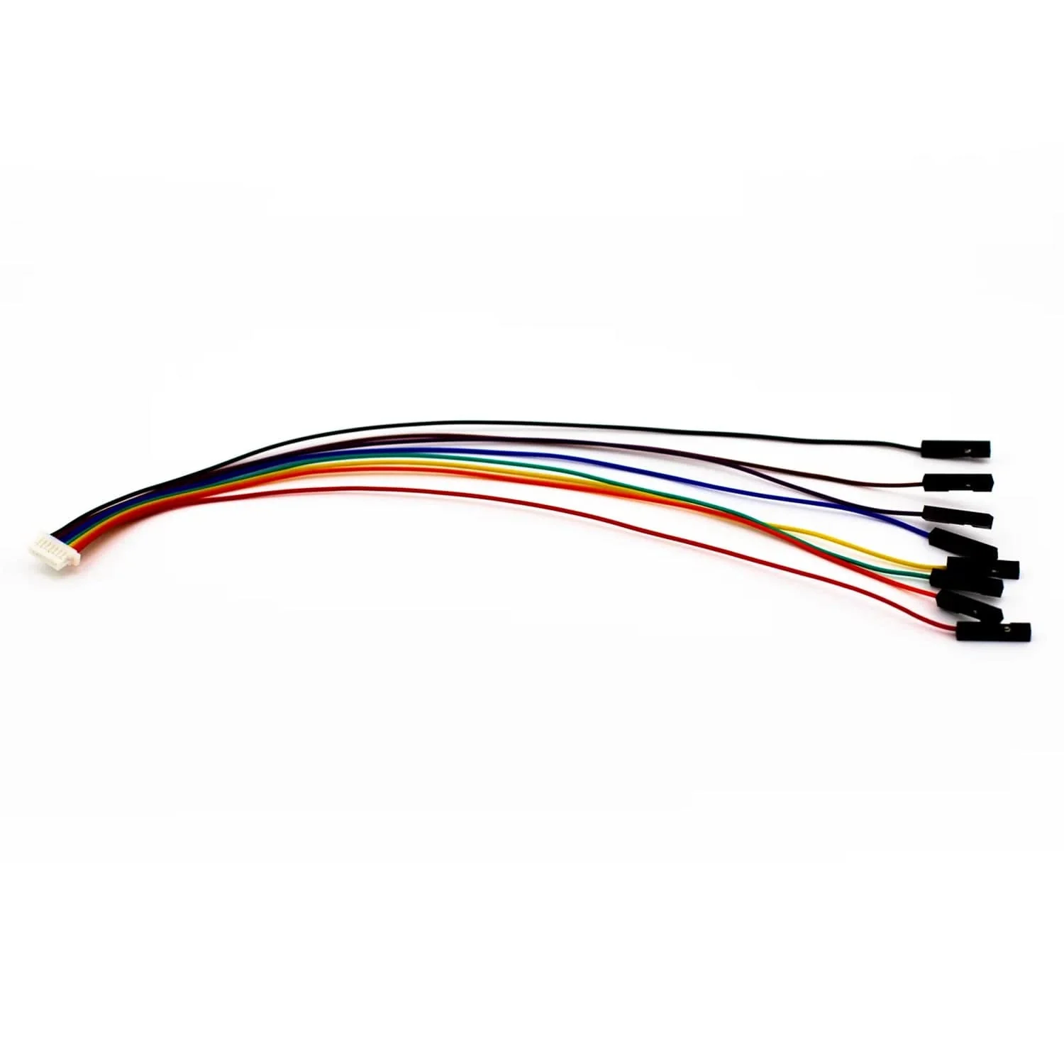 8-Pin JST-SH Cable (SP/CE) - Image 3