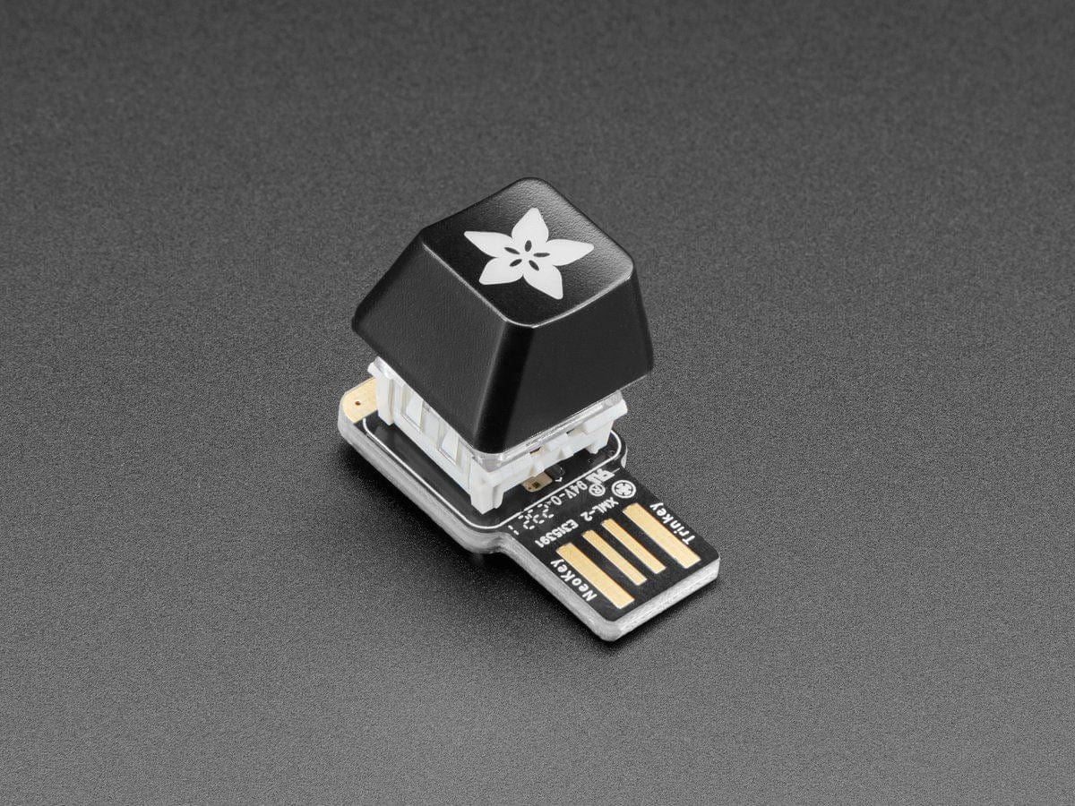 Adafruit Etched R4 Keycap for MX Compatible Switches - Image 5