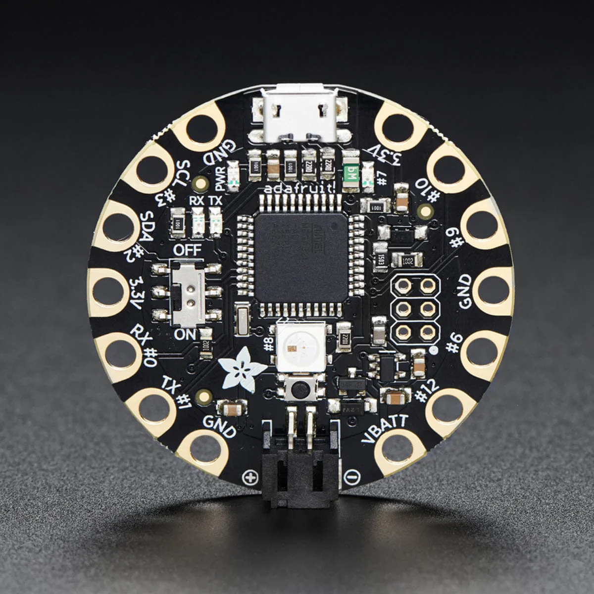 FLORA - Wearable Electronic Platform - Image 2
