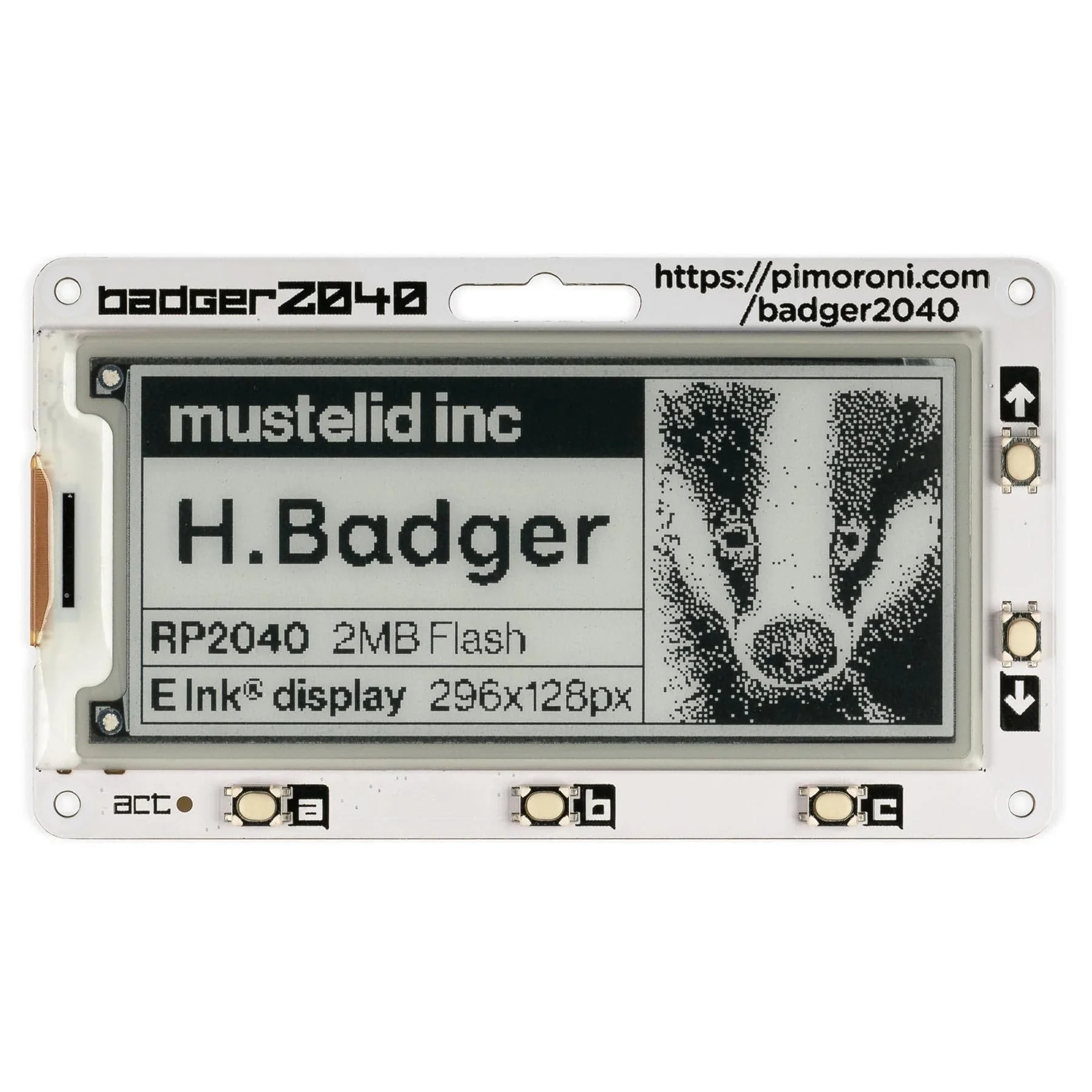 Badger 2040 - Image 3