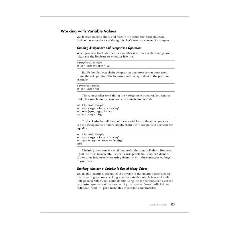 Beyond the Basic Stuff with Python - Image 5