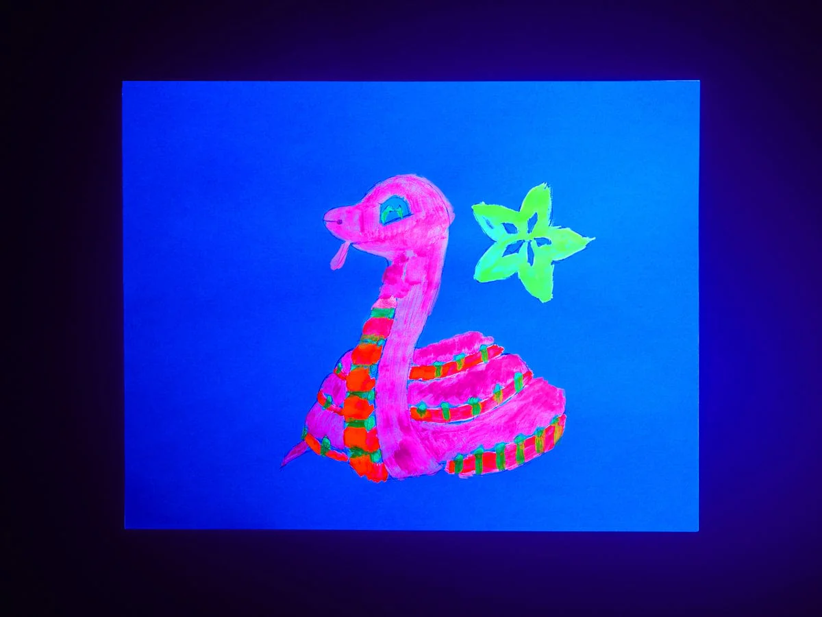 Fluorescent Pigment - Purple [Discontinued] - Image 5