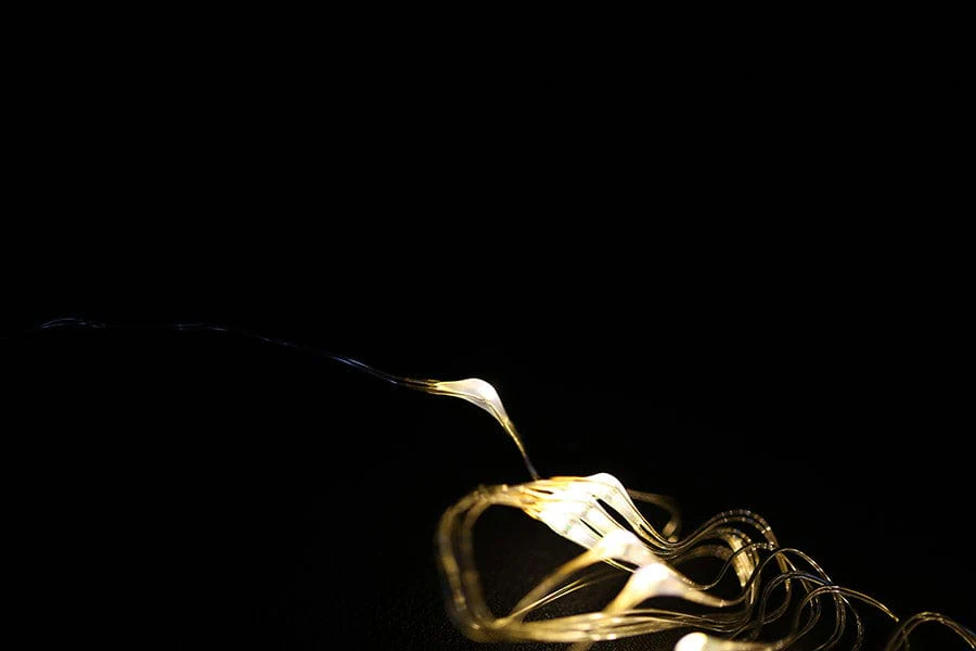Gravity: Digital LED String Lights (Warm White) For Arduino [Discontinued] - Image 5
