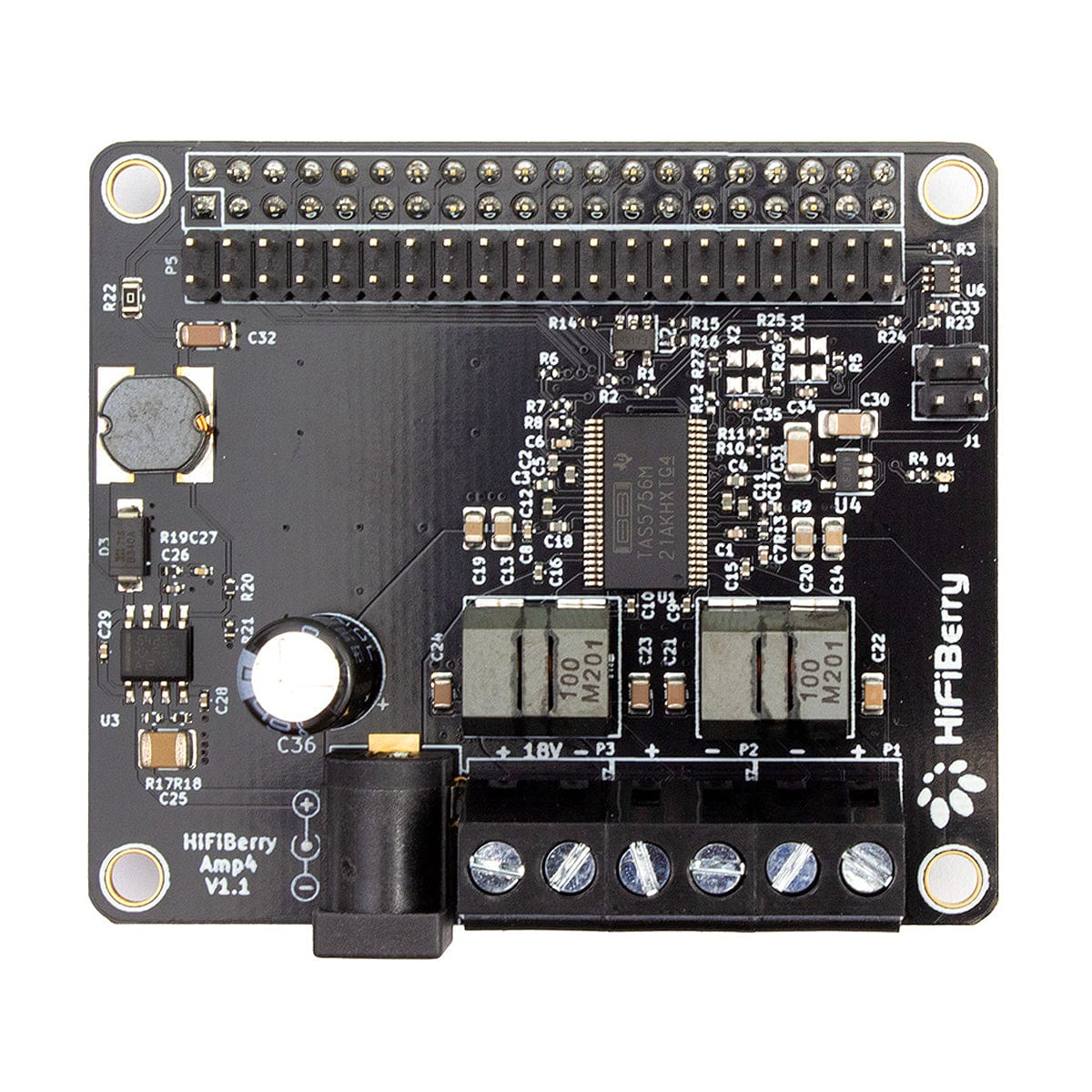 HiFiBerry Amp4 - Image 2