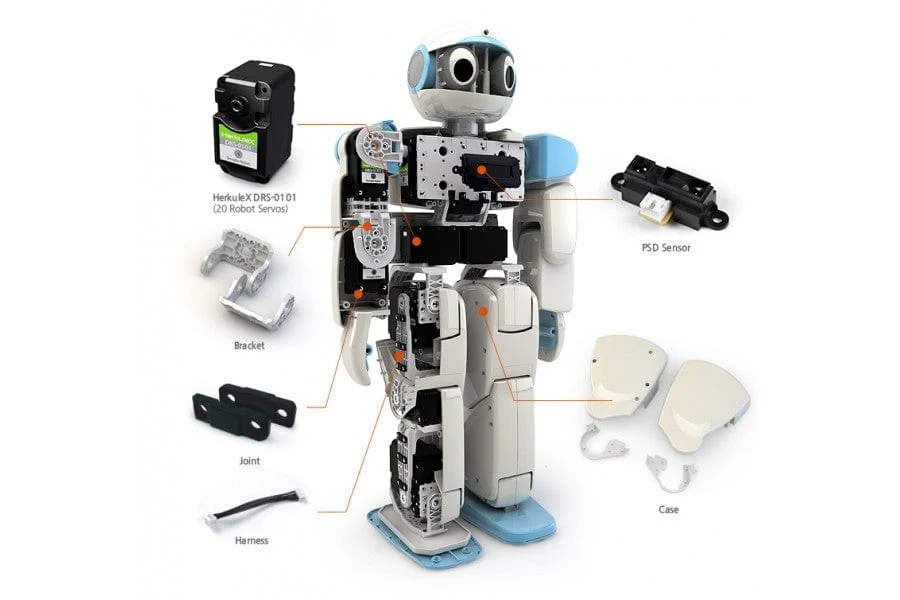 HOVIS Eco Plus - 20 DOF Humanoid Robot [Discontinued] - Image 3