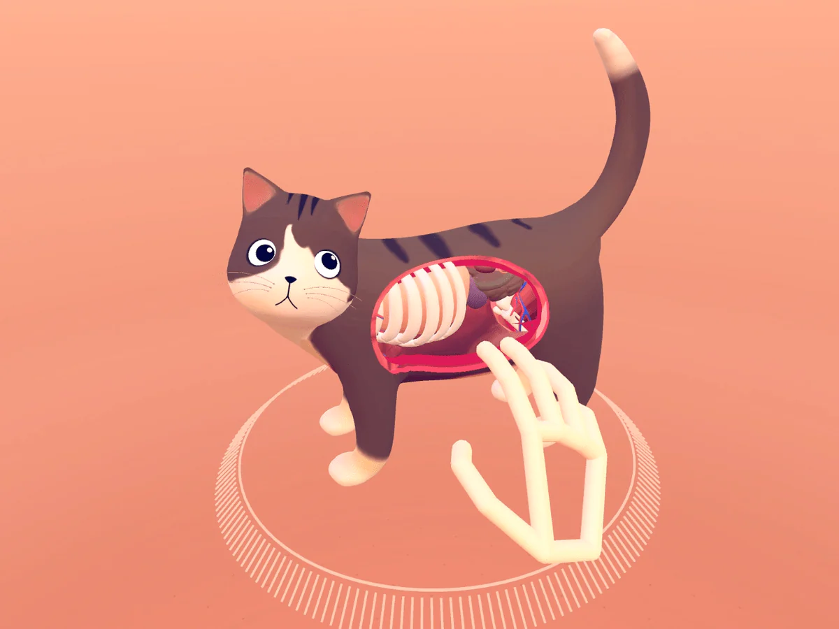 Leap Motion Controller with SDK - Image 9
