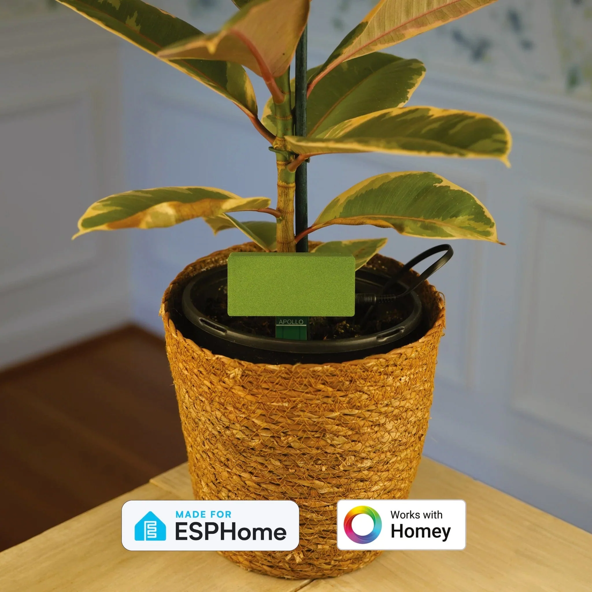 PLT-1 Ultimate Plant Sensor - Image 10