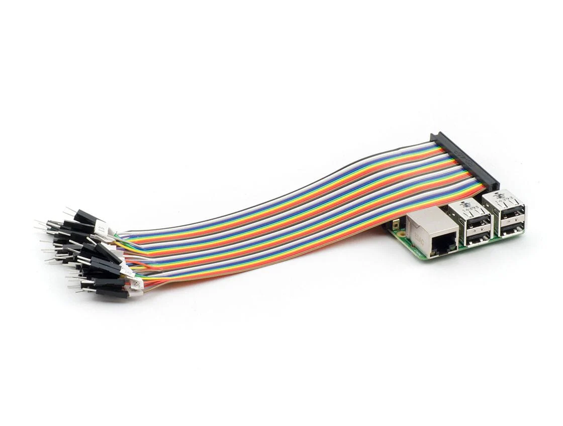 40-Pin GPIO Socket Connector to Male Labelled Pins - 200mm - Image 2