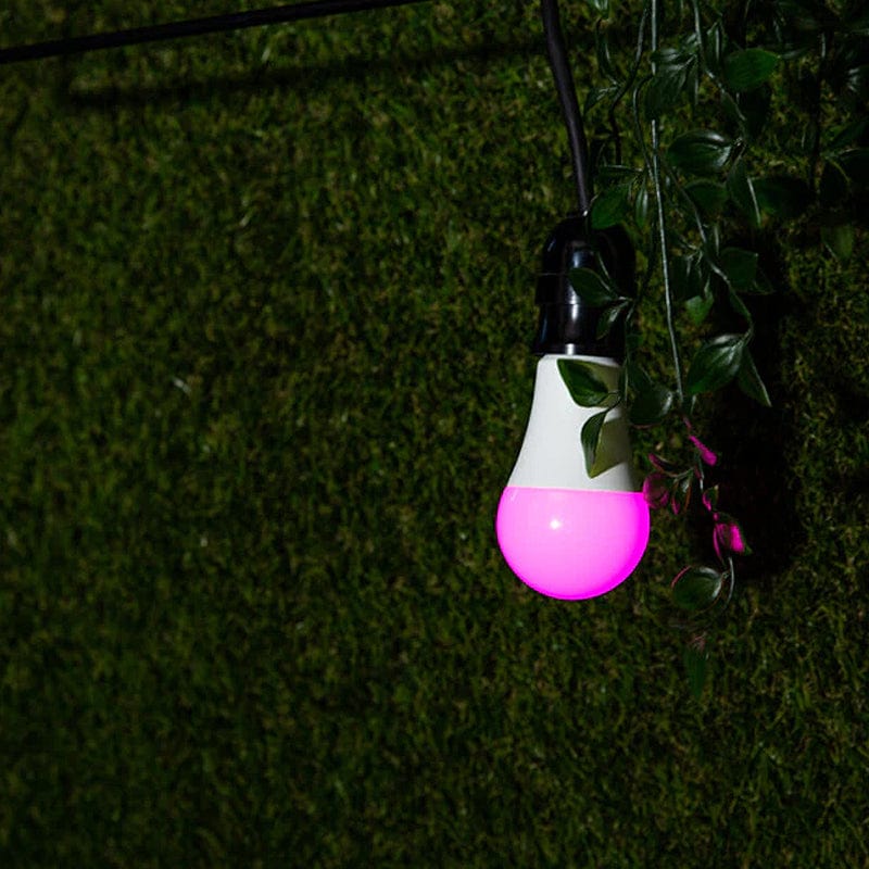 Shelly Duo RGBW - E27 Dimmable Smart Bulb [Discontinued] - Image 4