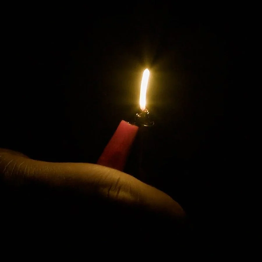 Single-Ended Flexible LED Filament - 3V 25mm long - Image 4