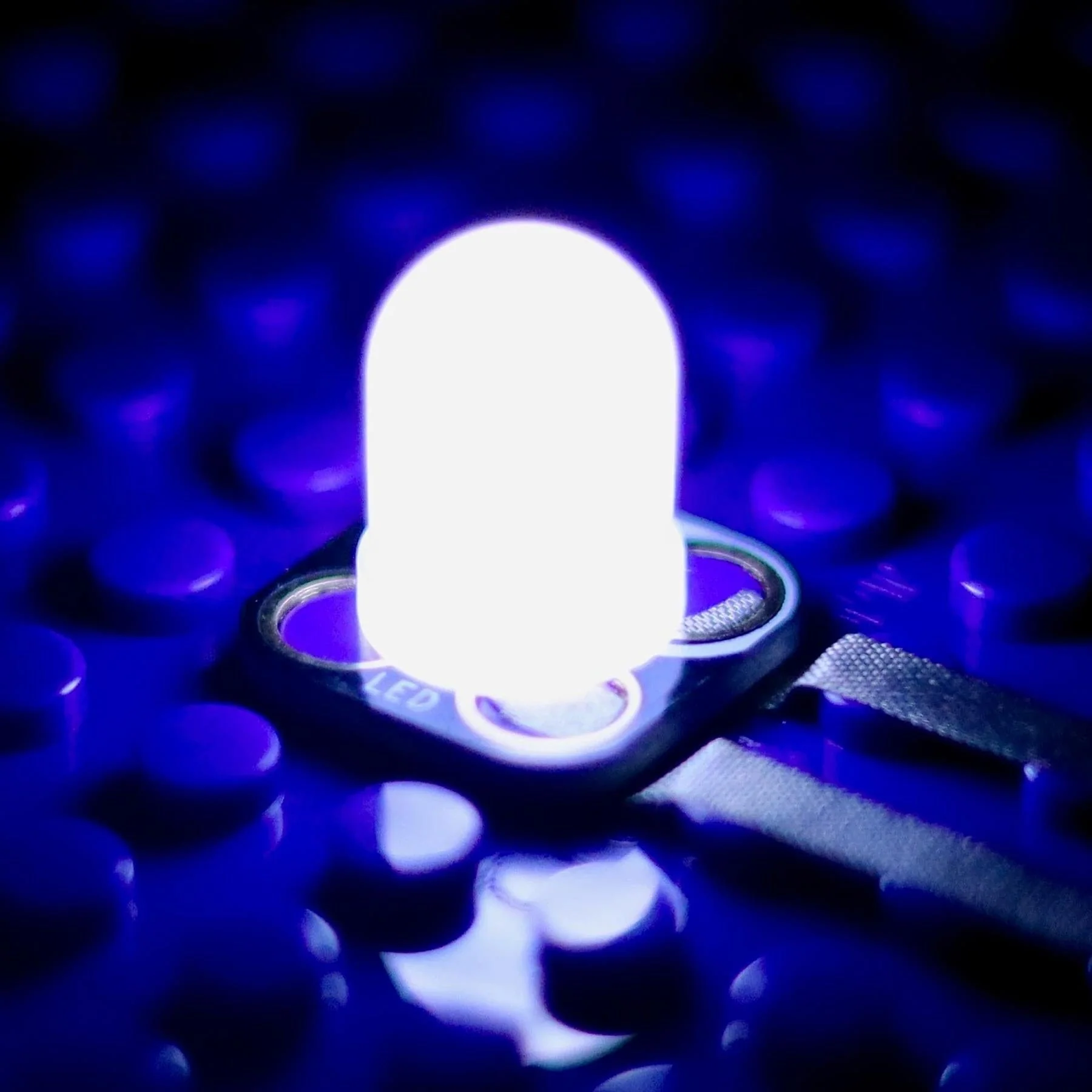 White Jumbo Diffused LED Chip [Discontinued] - Image 2